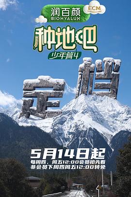 云开月明 电视剧 2026
